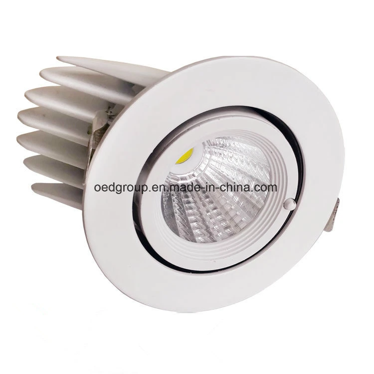 10W 3 Inch LED Gimbal Light with 24/38/60 LED Beam Angle From China Supplier