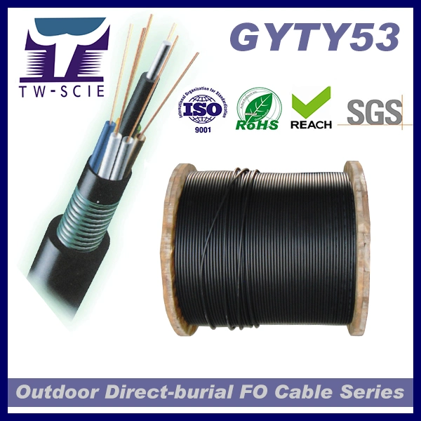 Manufacturers of Outdoor Fiber Optics Armoured 24 48 96 144 288core Fiber Optic Cable (GYTY53)