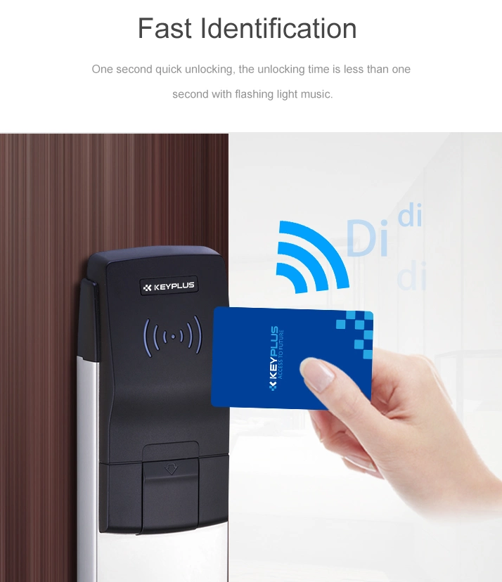 Smart Home Furniture Decroration Smart Entry Home Locks for Construction Building