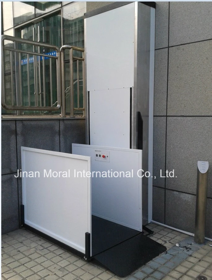 Home Use Disabled Access Lift