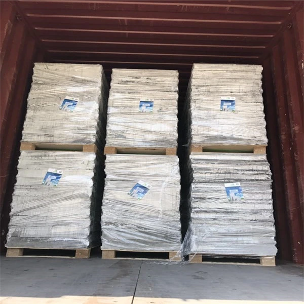 Lightweight Partition Wall Panel Cement Sandwich Exterior Wall Panel for Interior Wall/Exterior Wall/Roof/Floor
