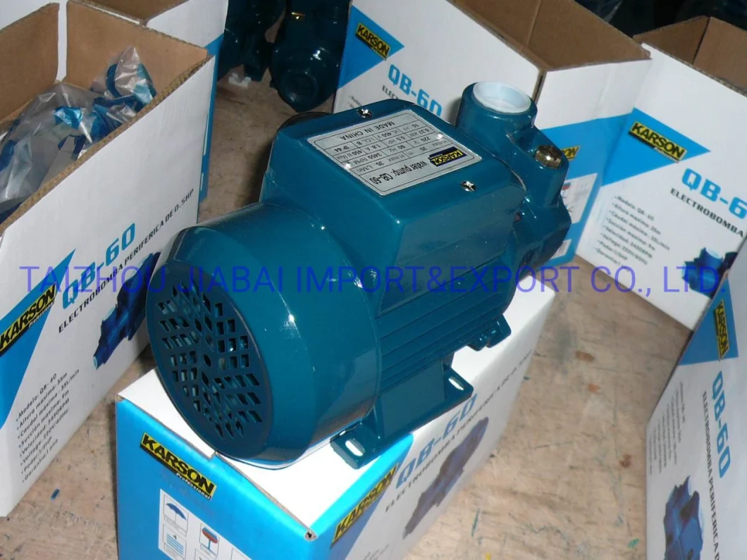 Qb Pump, Vortex Pump; Peripheral Pump; Self-Priming Pump