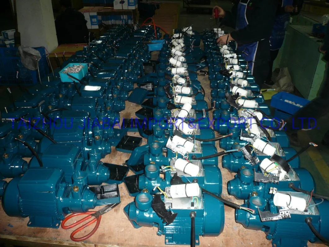 Qb Pump, Vortex Pump; Peripheral Pump; Self-Priming Pump