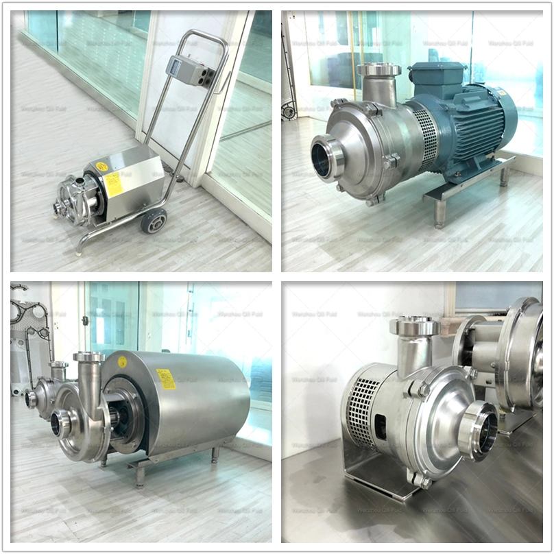 SS304/SS316L Stainless Steel Sanitary Food Grade Pressure Pump