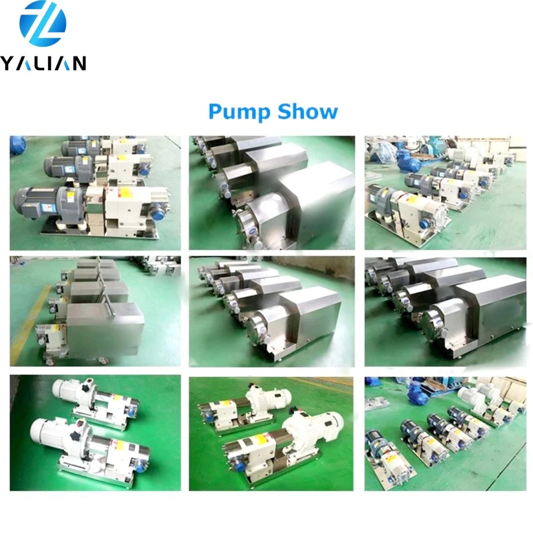 Polypropylene Plastic Pneumatic Diaphragm Pump Structure Standard or Nonstandard Diahphragm Pump