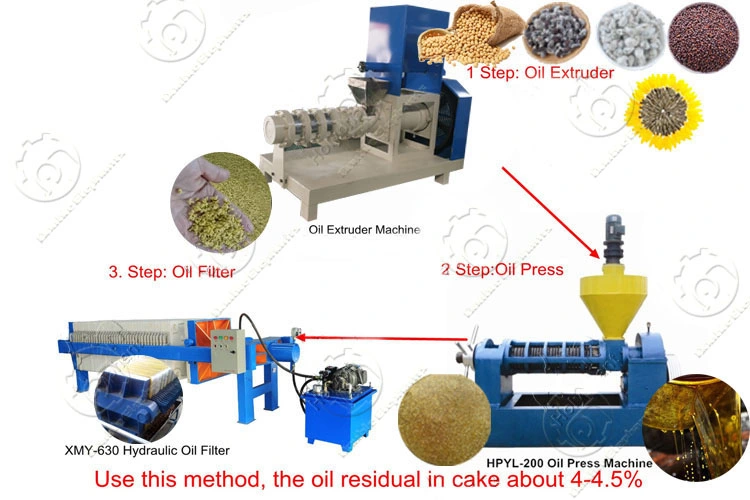 Coffee Bean Cotton Seed Oil Extraction Press Machine Price Rice Bran Oil Cold Press