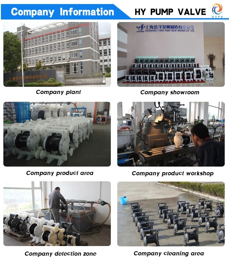 Factory Price Slurry Micro Pneumatic Diaphragm Pump