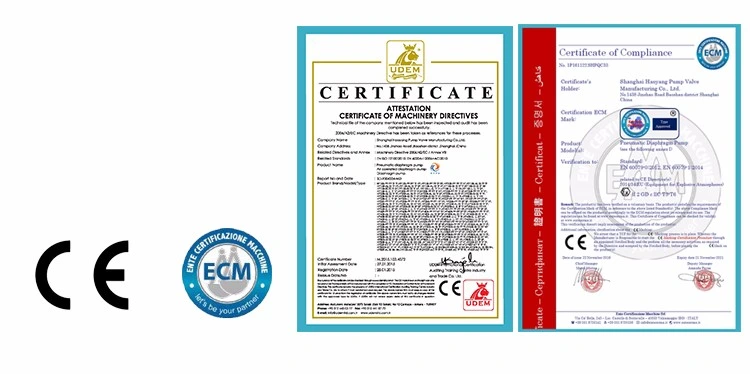 Chemical Acid PP Pneumatic Diaphragm Pump with Santoprene Diaphragm