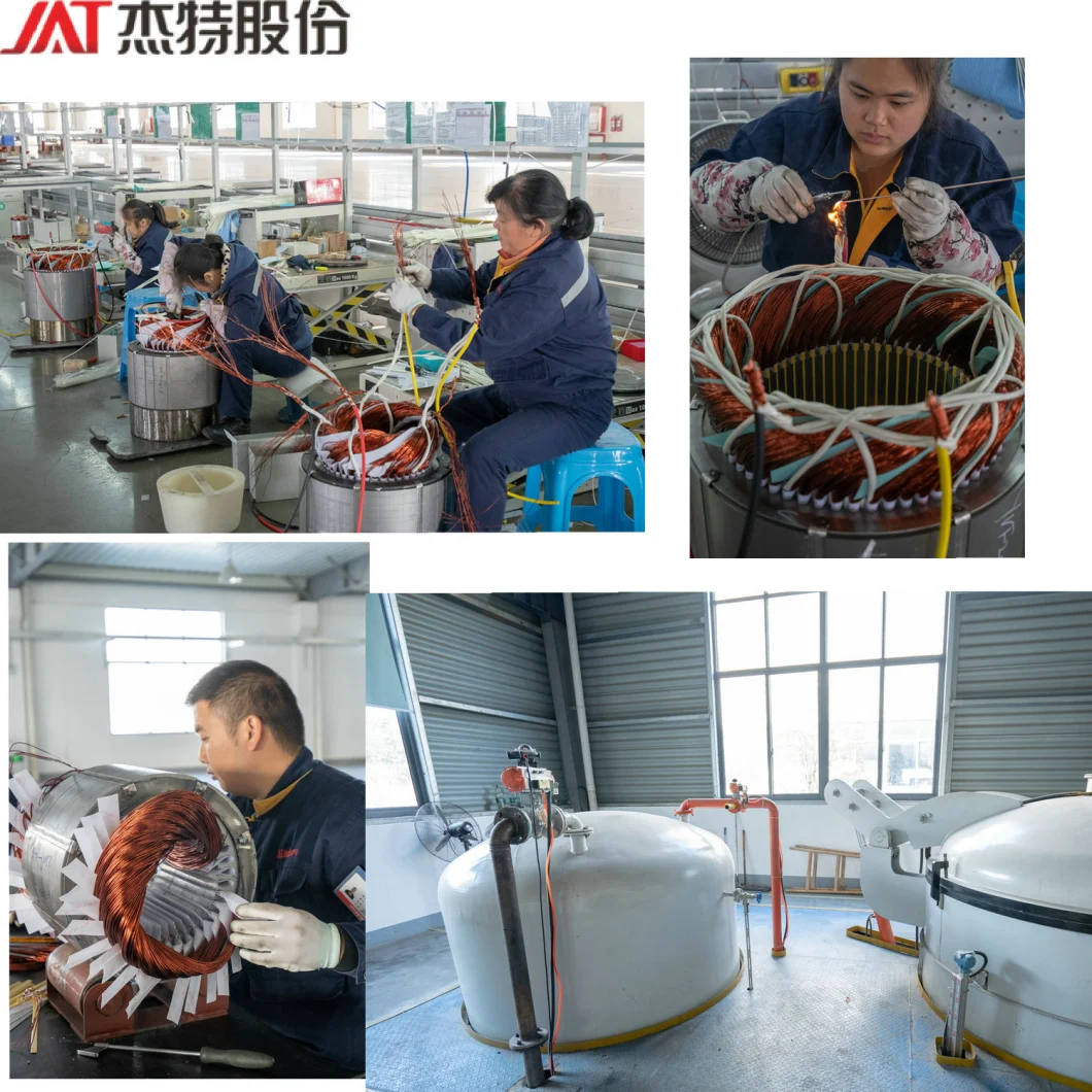 Electric Motor for Single Stage Multiple Stage Centrifuge Pump