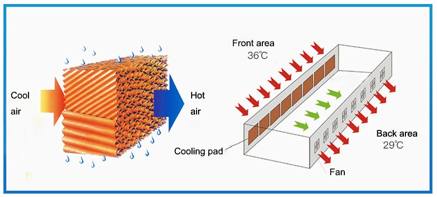 Negative Pressure Wall Mounted Negative Pressure Cooling Fan for Greenhouse