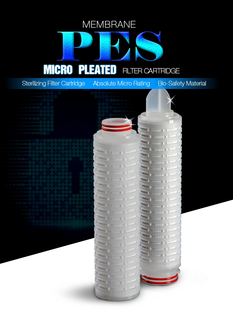 Darlly 0.45um Pes Micropore Filter Cartridge