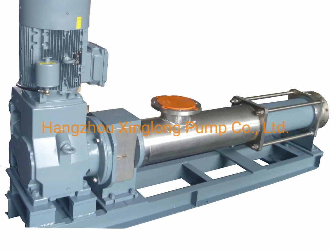 Mono Screw Sewage Pumps Rotor Progressive Cavity Pump (PCP) G-Type Single Screw Pump