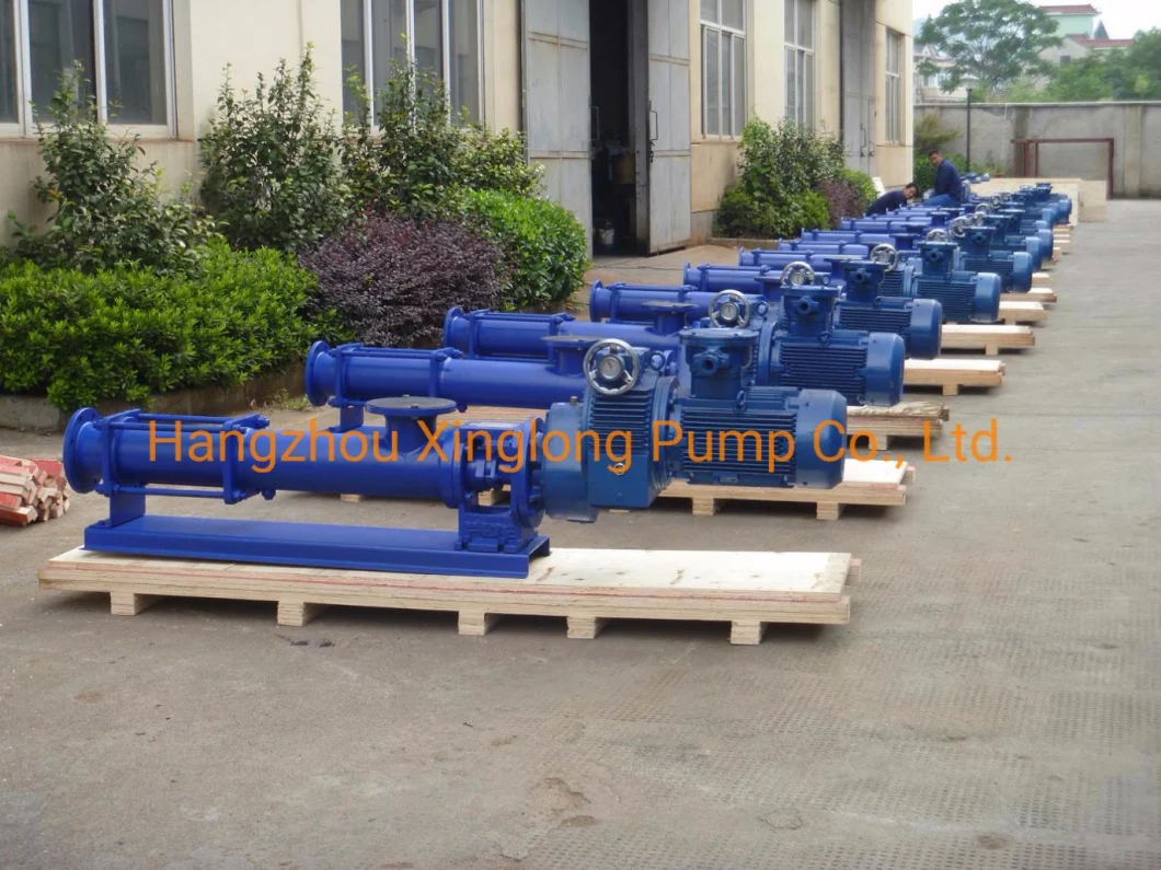 Mono Screw Sewage Pumps Rotor Progressive Cavity Pump (PCP) G-Type Single Screw Pump