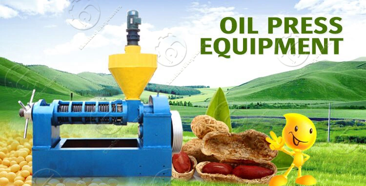 Coffee Bean Cotton Seed Oil Extraction Press Machine Price Rice Bran Oil Cold Press