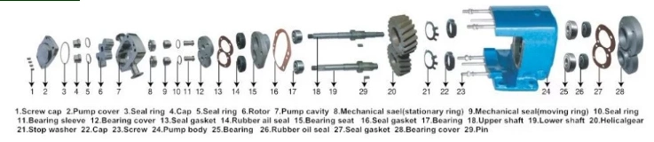 Sanitary Food Grade Stainless Steel High Viscosity Transfer Pump Rotary Cam Rotor Pump