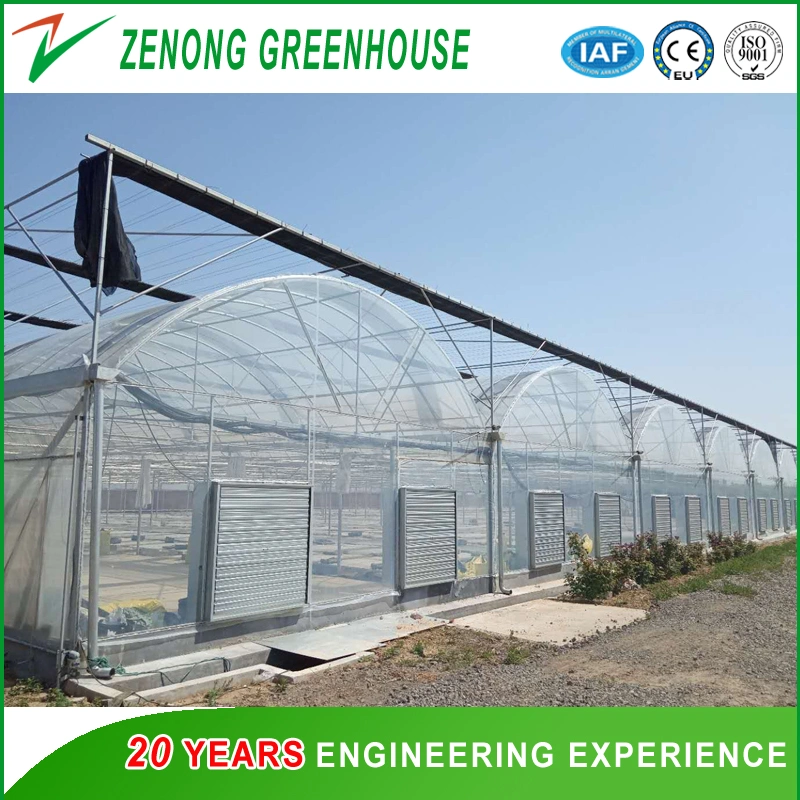 Popular Single Layer/Double Layer Plastic Film Greenhouse with Temperature/Humidity Sensor for Sale