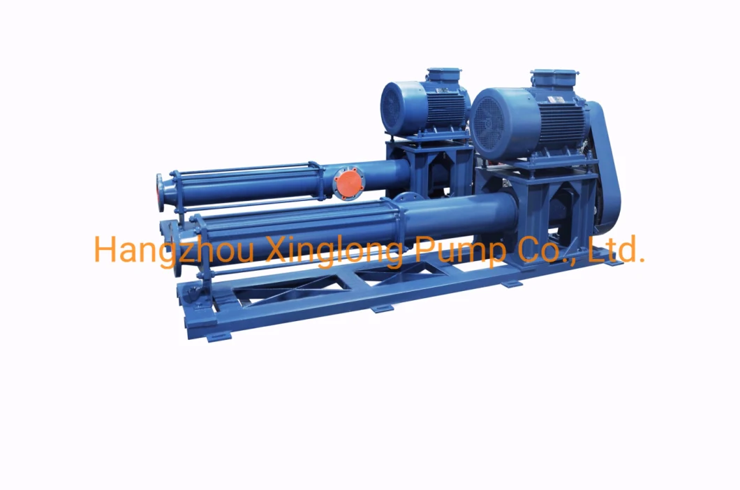 Mono Screw Sewage Pumps Rotor Progressive Cavity Pump (PCP) G-Type Single Screw Pump