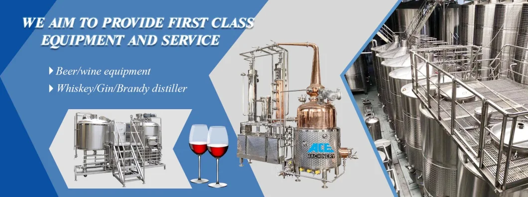 Professional Fermenting Equipment with Conical Fermentation Tank in Beer Fermenter Fermentation Kettle