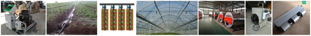 Popular Single Layer/Double Layer Plastic Film Greenhouse with Temperature/Humidity Sensor for Sale