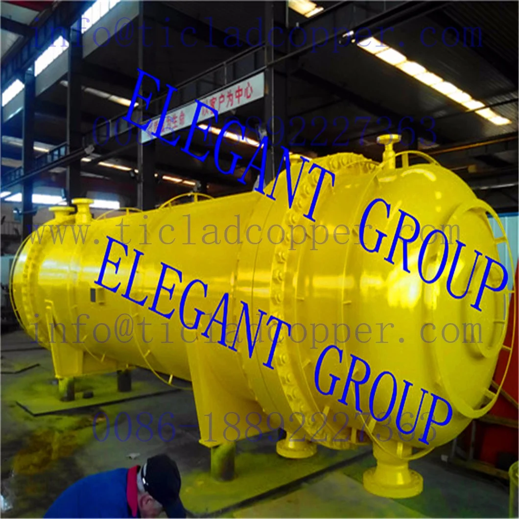 Titanium Reactor with Agitator Mixing Tank/Titanium Mixing Agitator Reactor