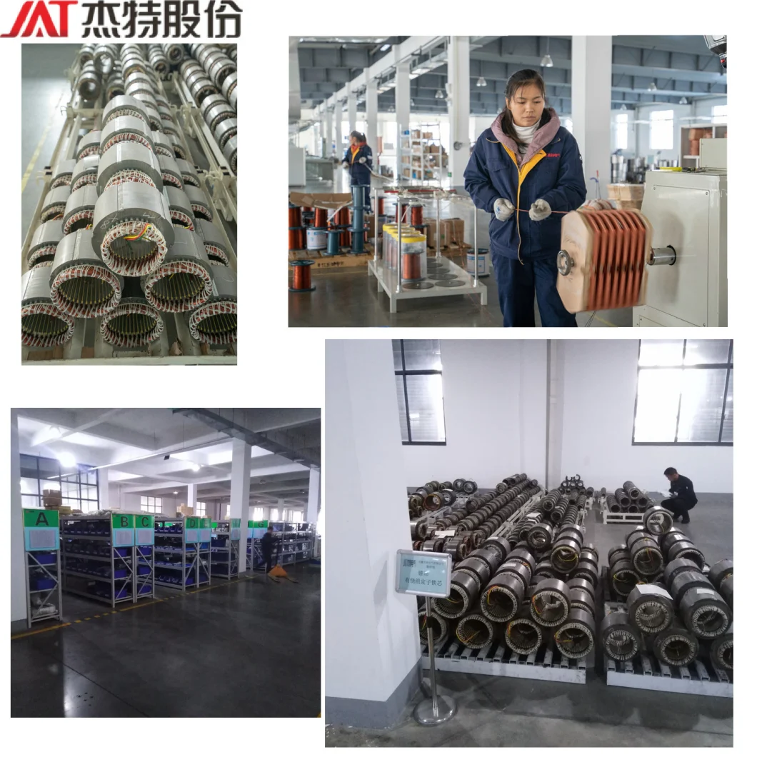 Electric Motor for Single Stage Multiple Stage Centrifuge Pump