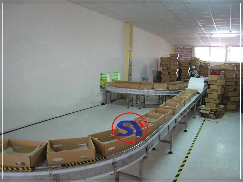 Stainless Steel Motorized Gravity Roller Conveyor System/Conveyor Table for Conveying Pallet Carton Box