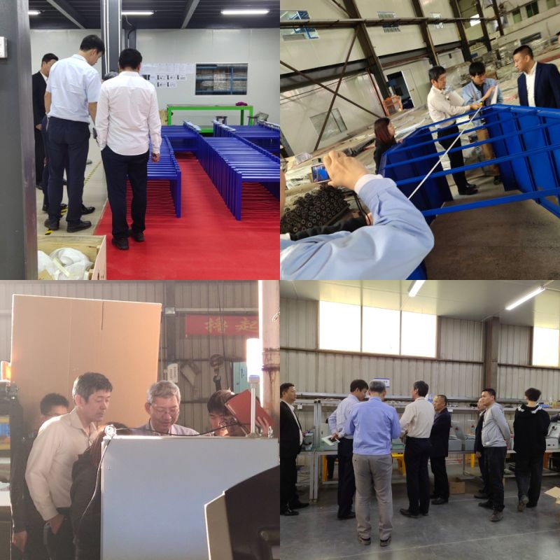 Tilting Wheel Sorting Machine/Pendulum Wheel Sorting Machine/Pendulum Turbine/Sorting Machine