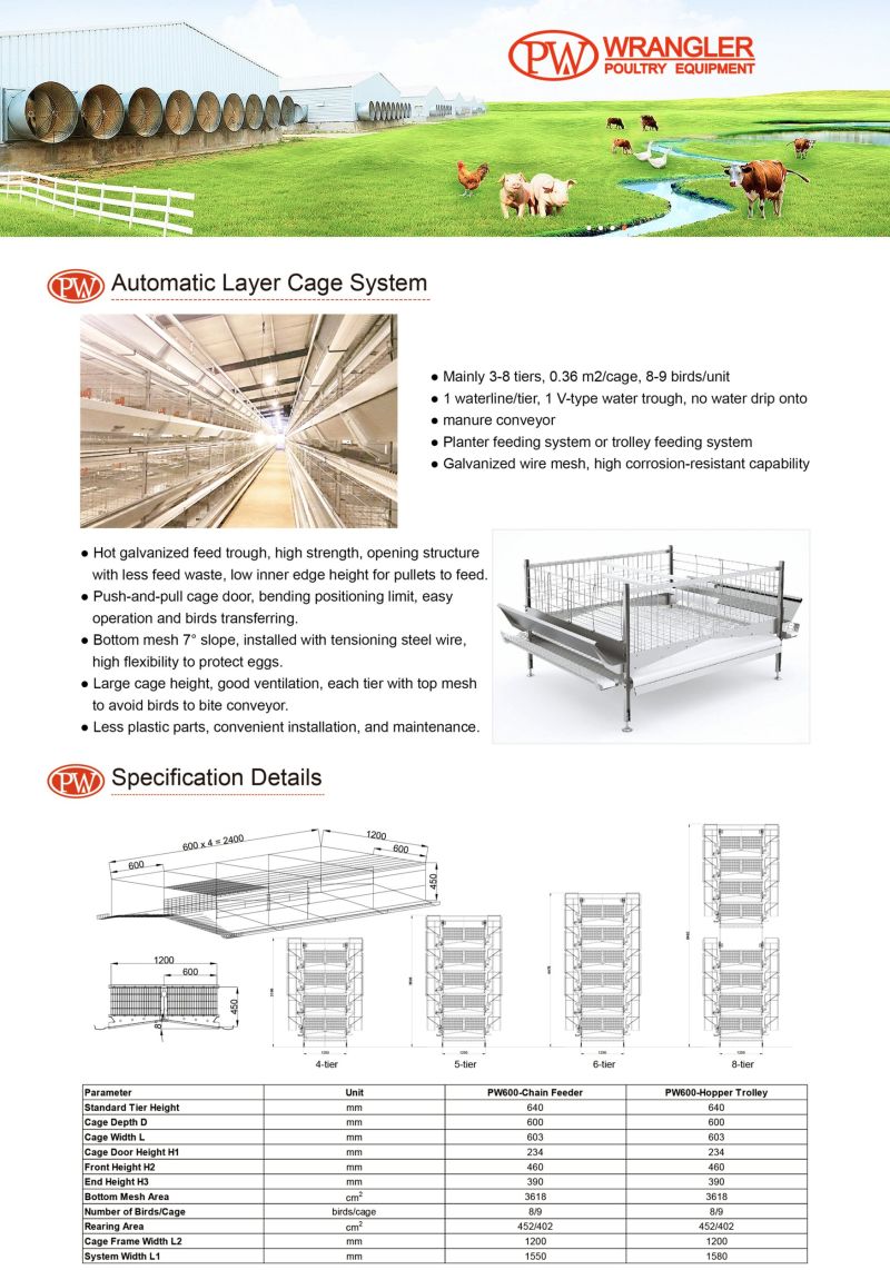 Automatic Poultry Layer Broiler Pullet Breeding Battery Chicken Cage