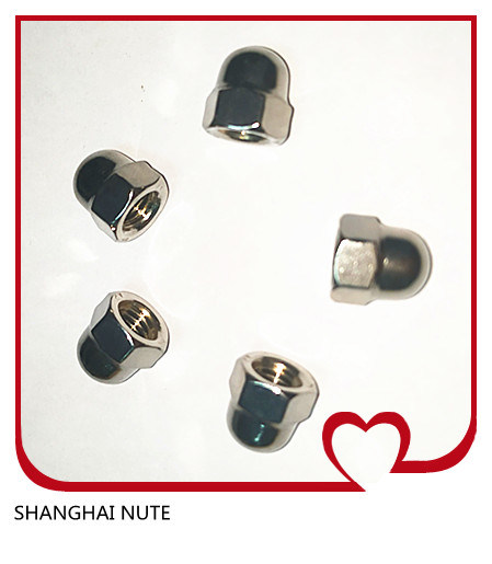 Stainless Steel 304 316 Hex Cap Dome Nuts DIN1587 M8-M52