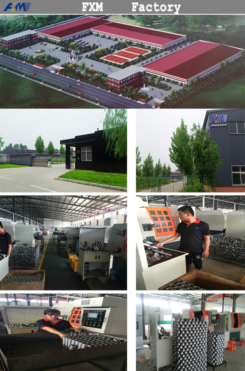 All Kinds of Ball Bearings Roller Bearings Auto Bearings