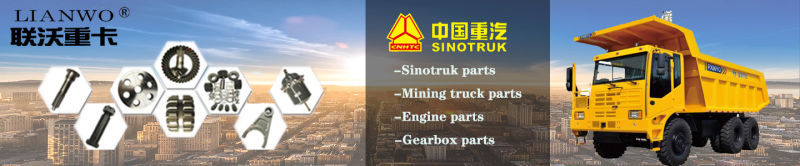 Sinotruk HOWO A7 Tonly Sdlg Truck Spare Parts Connecting Rod Bearing Vg1560030033