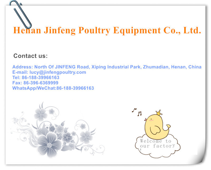 Automatic /Semi Automatic Poultry Equipment for Broiler Chickenon Sell