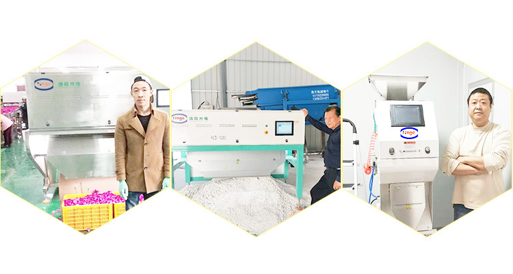 Maize Corn Color Sorter Machine Maize Selector Corn Cleaner Maize Corn Processing Machine