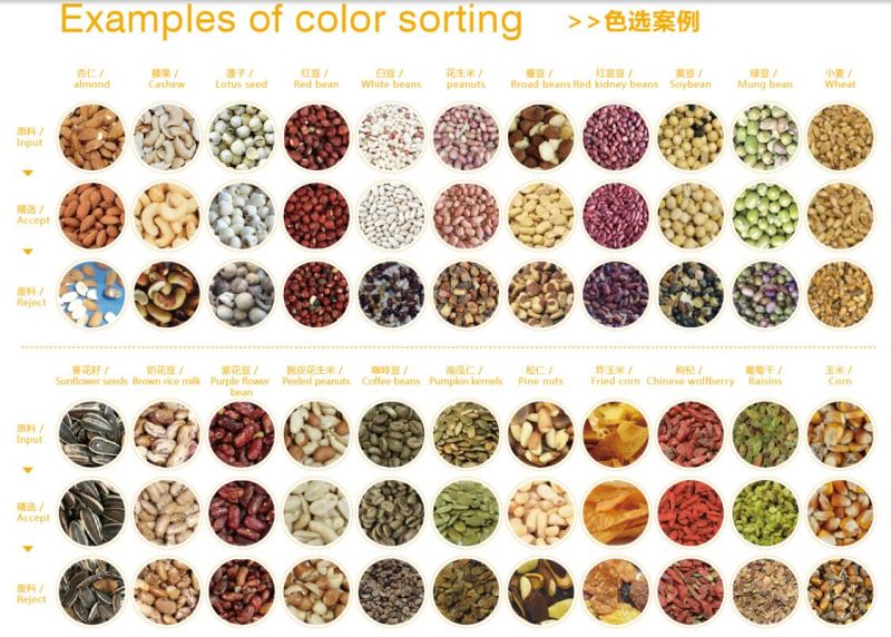 Maize Corn Color Sorter Machine Maize Selector Corn Cleaner Maize Corn Processing Machine