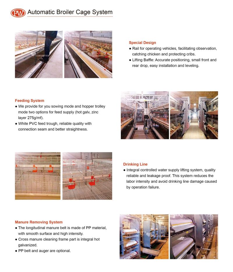 Automatic Poultry Layer Broiler Pullet Breeding Battery Chicken Cage