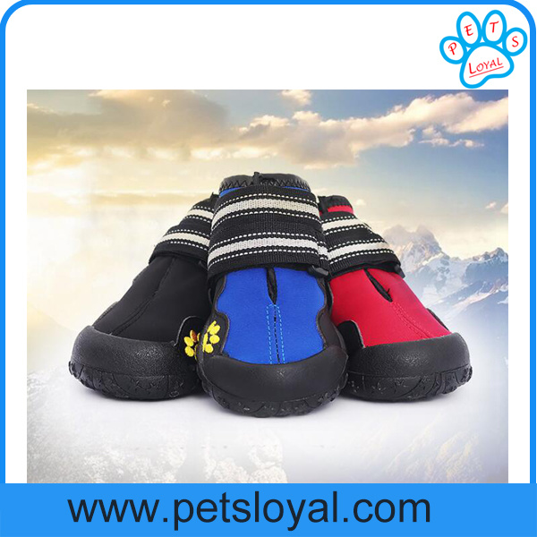 Factory Wholesale Medium and Large Luxury Pet Dog Shoes Supply