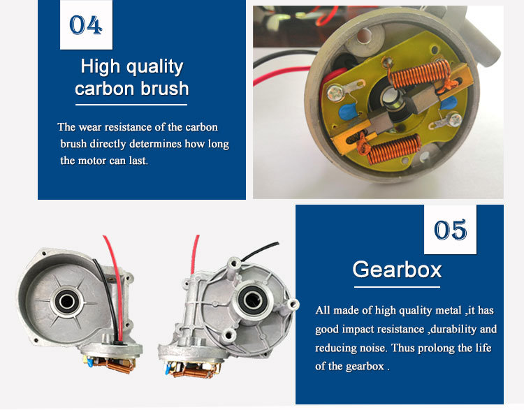 Quality Brushed 30 Watt Worm Gear Motor in DC Motor 12V 24V