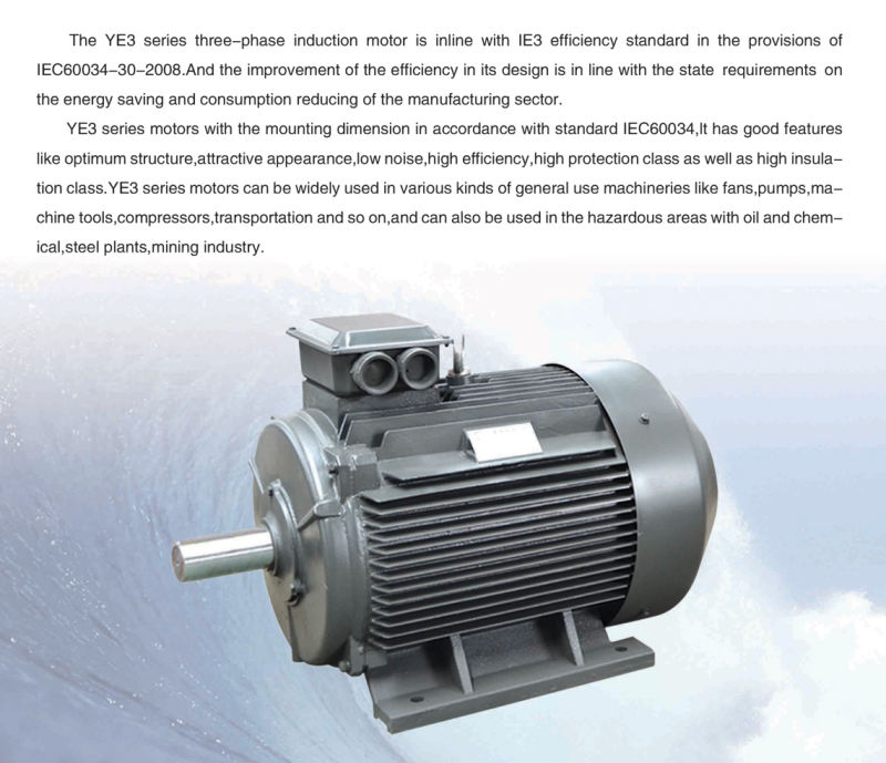 Three-Phase Motor/Synchronous Motor/Electrical Motor/Engine Parts