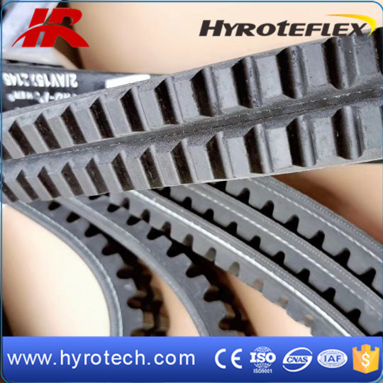 V Belt/Agricultural V Belt/Rubber Vbelt