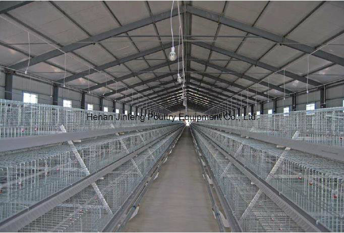 Automatic /Semi Automatic Poultry Equipment for Broiler Chickenon Sell