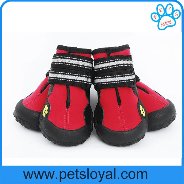 Factory Wholesale Medium and Large Luxury Pet Dog Shoes Supply