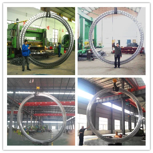 CCS Certified Swing Bearing 061.50.1900.001.49.1504 Slewing Ring