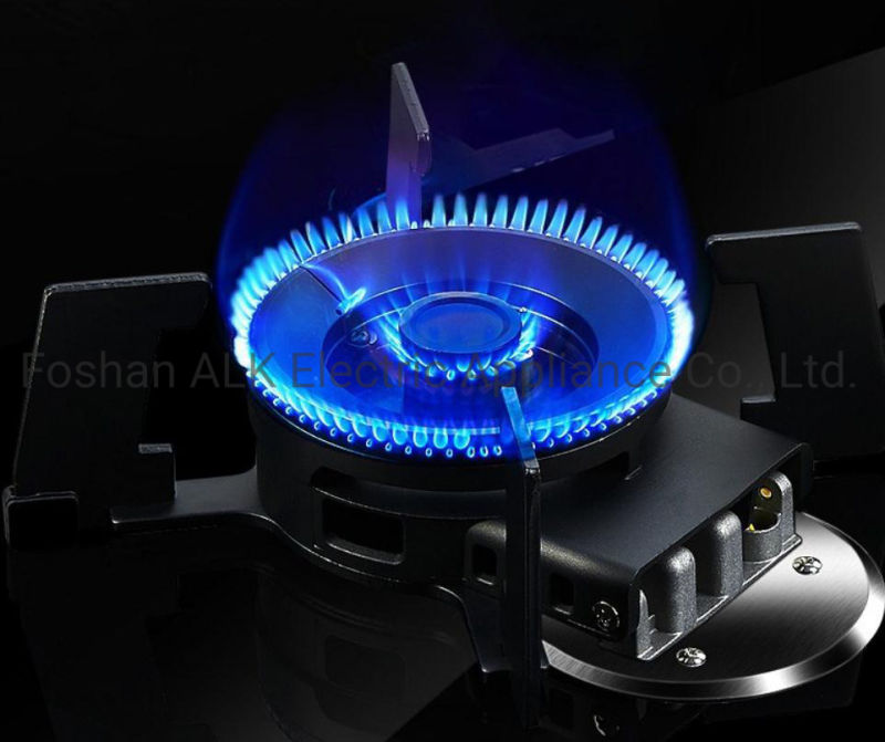 2021 New Design Made in China Outdoor Gas Stove/Diesel Stove/Portable Gas Cooker