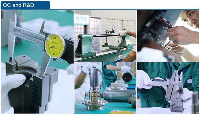 Customized Linear Motion Ball Bearing Shaft Rod