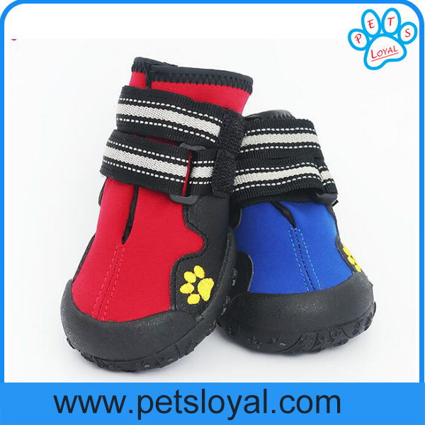 Factory Wholesale Medium and Large Luxury Pet Dog Shoes Supply