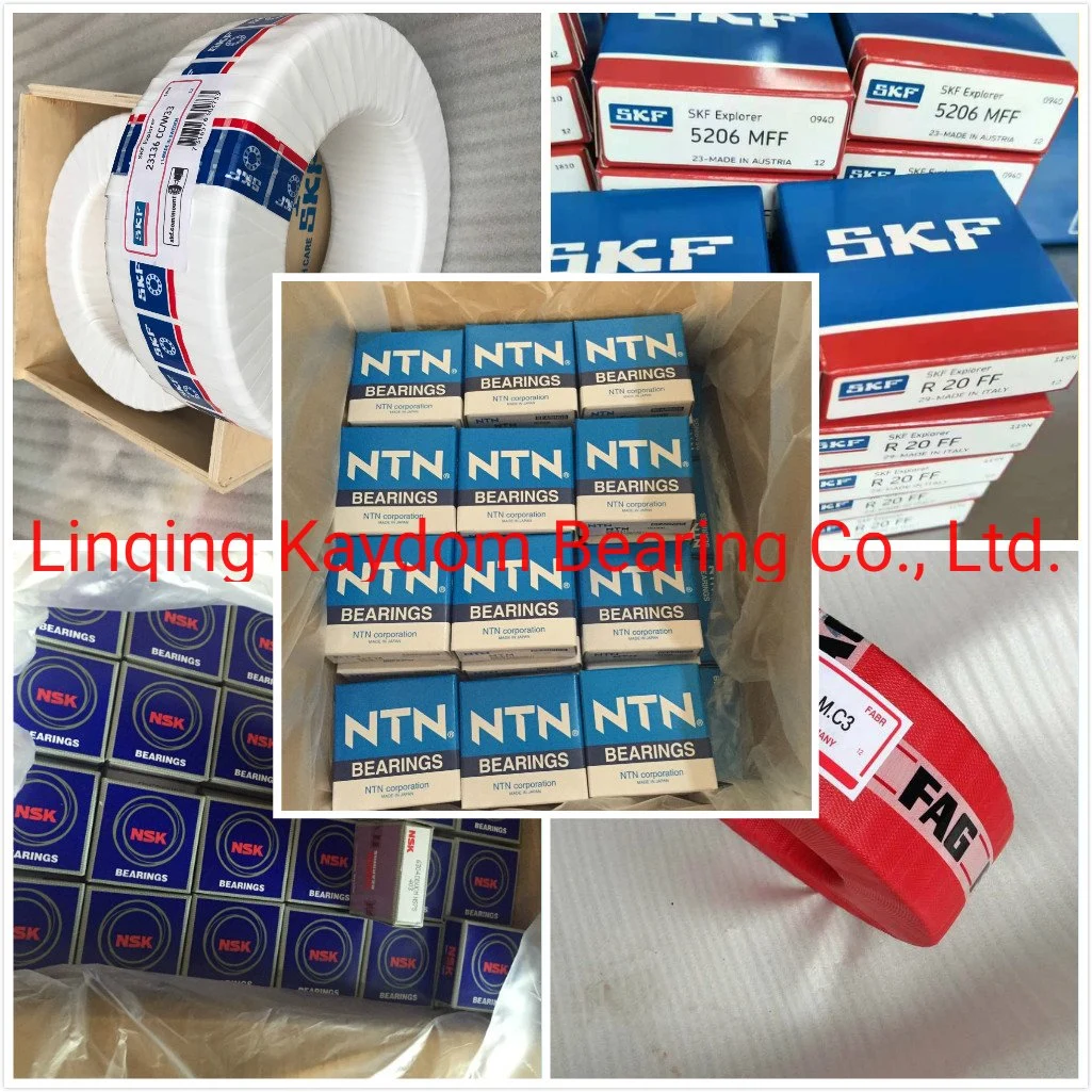 SKF/Koyo/NACHI 6319 2RS Engine Parts Deep Groove Ball Bearings