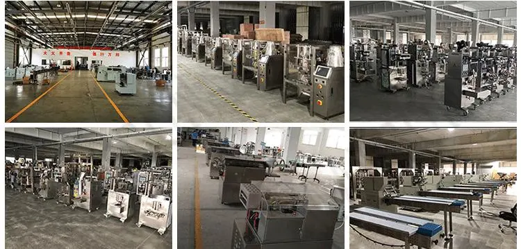 Food Packaging Machine Potato Chip/Tea Bag/Sachet/Nuts/Salt/Pasta/Bread Packing Machine