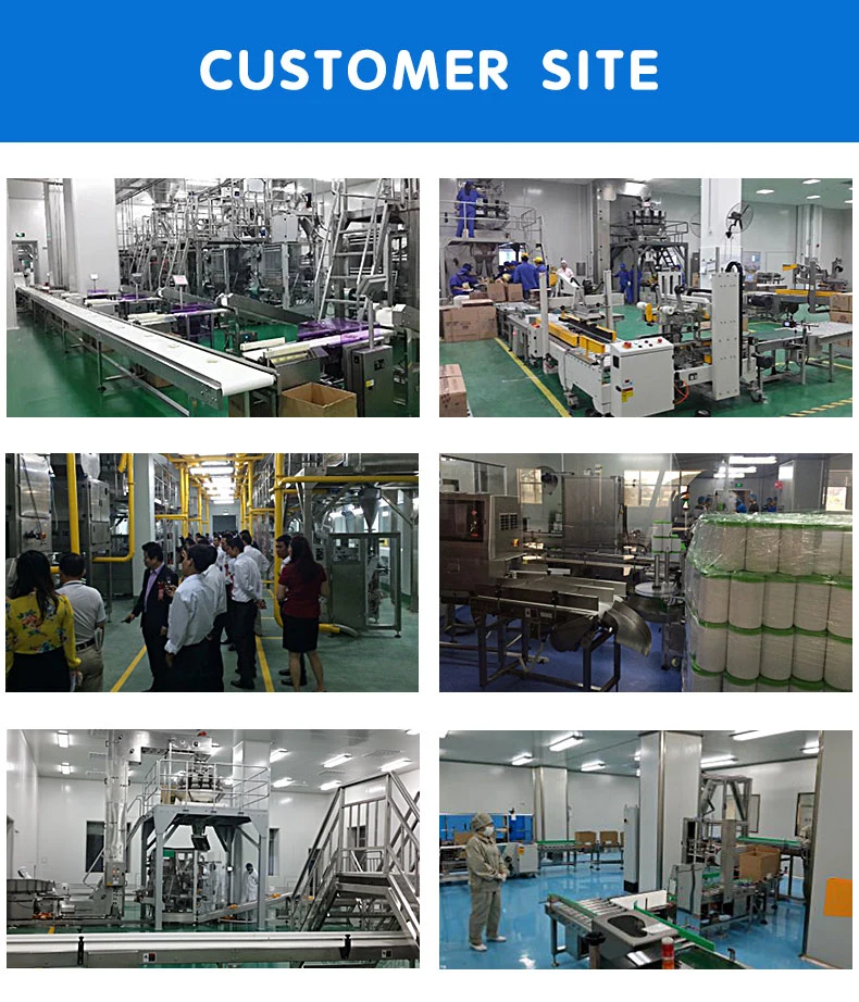 Shampoo/Pharmaceutical/Nutrition Packaging Machine