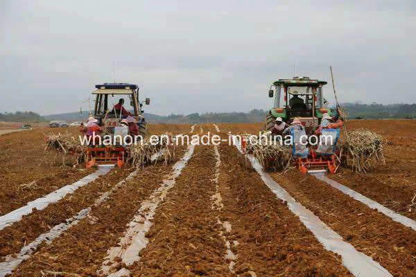 Anon 2 Rows 3 Rows Sugarcane Planting Machine Sugarcane Planter