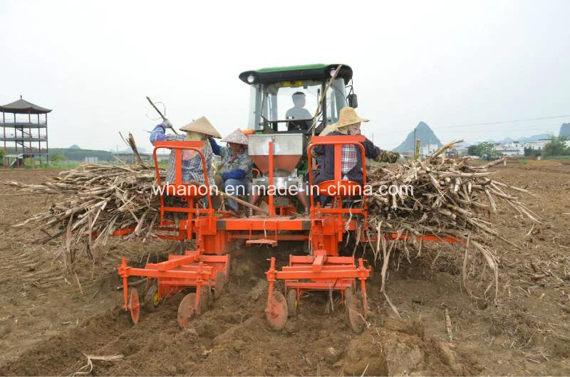 Anon 2 Rows 3 Rows Sugarcane Planting Machine Sugarcane Planter